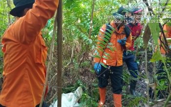 Balita 4 Tahun yang Hilang Beberapa Hari, Ditemukan Tak Bernyawa