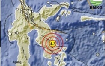 Gempa 4,3 Magnitudo Guncang Kabupaten Konawe, Tidak Berpotensi Tsunami