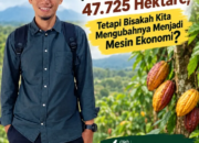 Koltim Punya Potensi Lahan Perkebunan Kakao 47.725 Hektare, Tetapi Bisakah Kita Mengubahnya Menjadi Mesin Ekonomi?