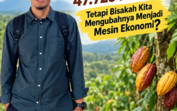 Koltim Punya Potensi Lahan Perkebunan Kakao 47.725 Hektare, Tetapi Bisakah Kita Mengubahnya Menjadi Mesin Ekonomi?